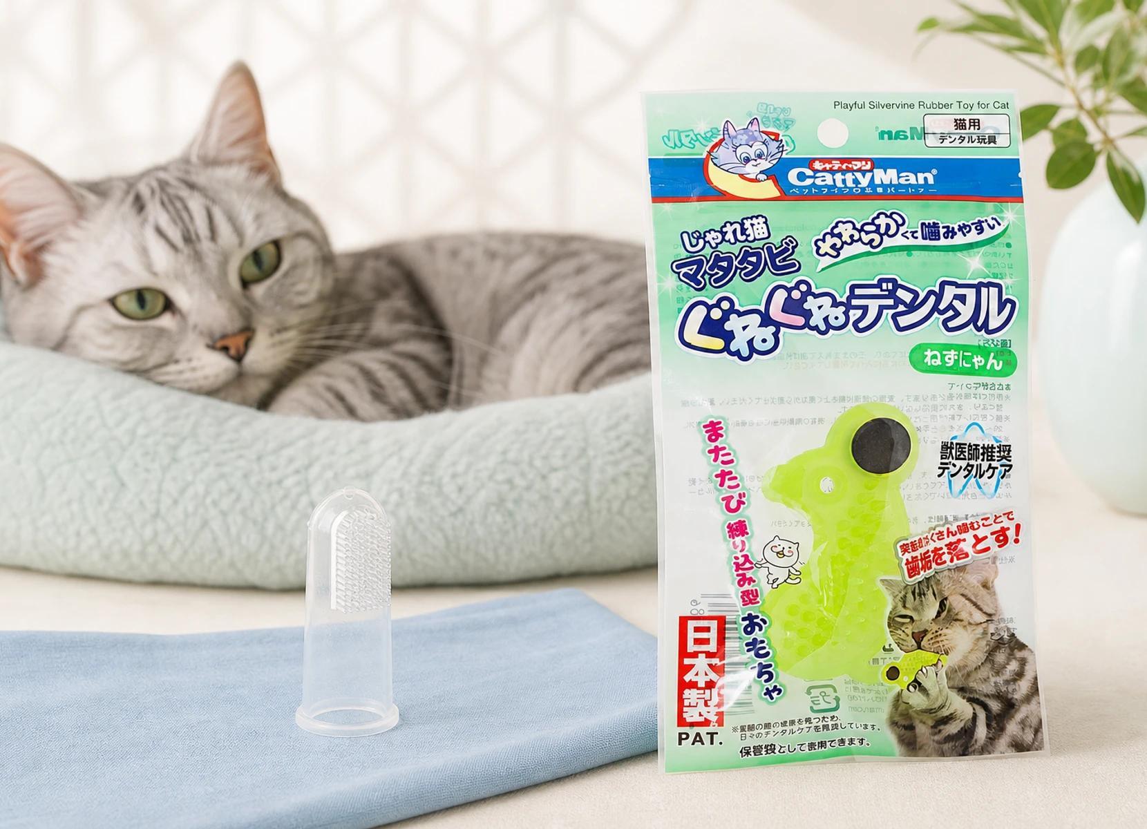 Echte Japan Premium Pet Zahnbürste, Dental-Tücher und Katzenspielzeug in einer ruhigen Pflegeszene