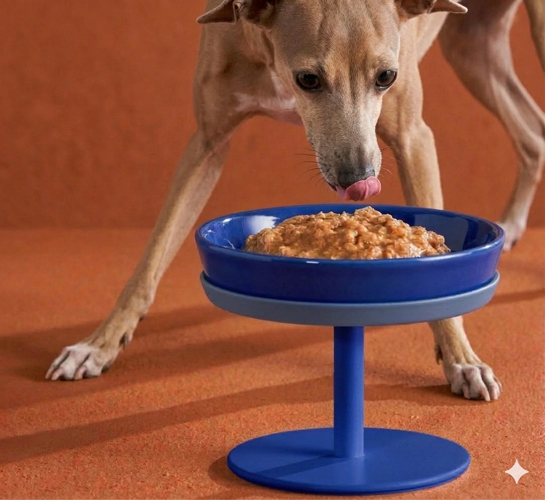 Hund frisst aus Napf