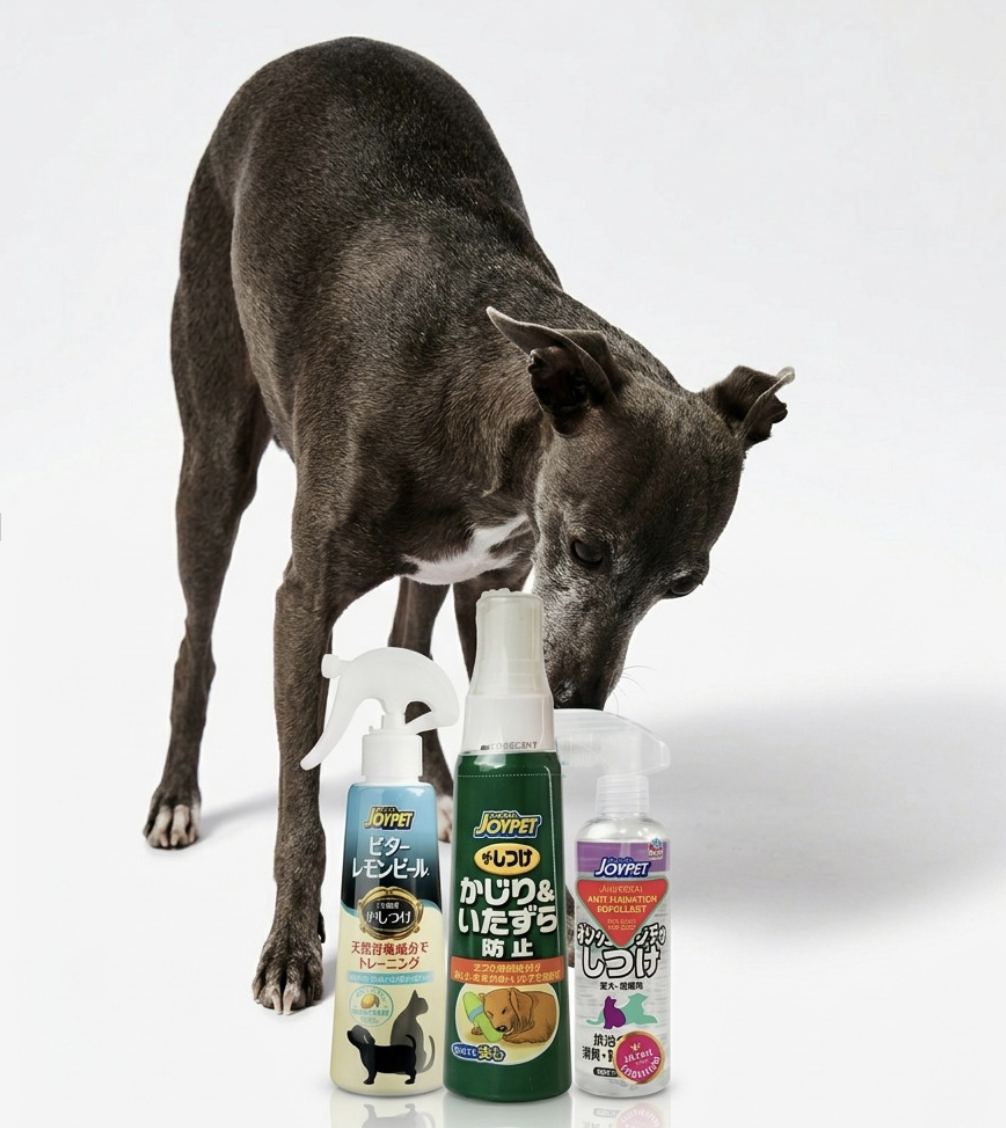 Hund neben Sprühflaschen