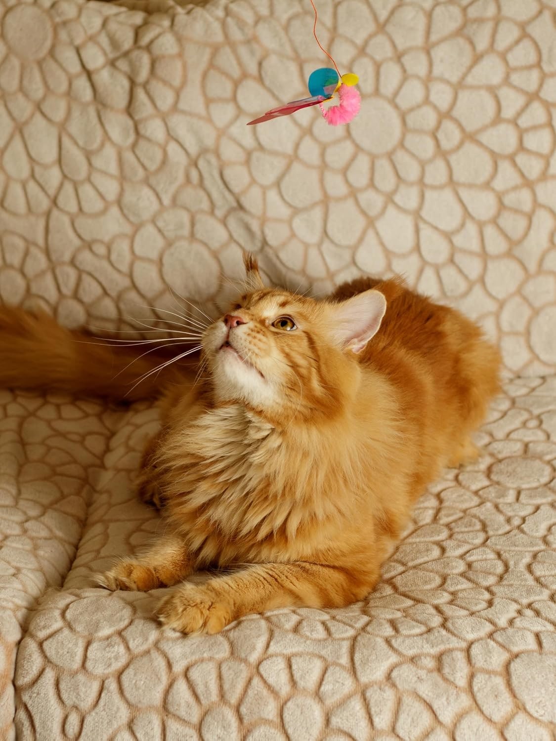 Katzenspielzeug | Interaktive Katzenangel mit Maus | Teaser-Angel mit unvorhersehbarer Bewegung | Fördert Jagdinstinkt | Für Katzen