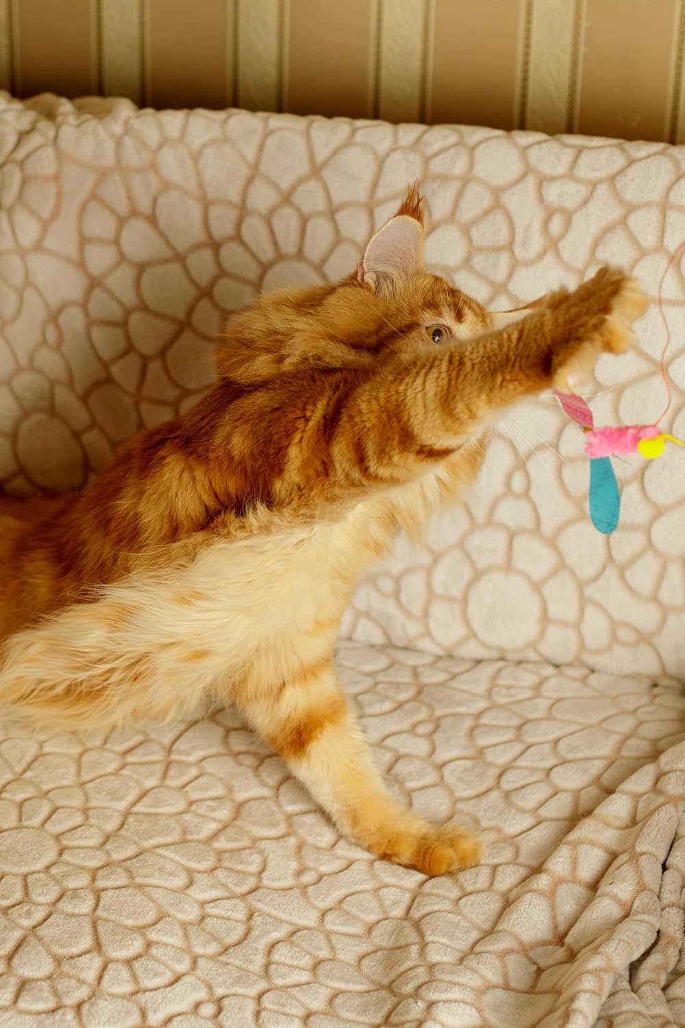 Katzenspielzeug | Interaktive Katzenangel mit Maus | Teaser-Angel mit unvorhersehbarer Bewegung | Fördert Jagdinstinkt | Für Katzen