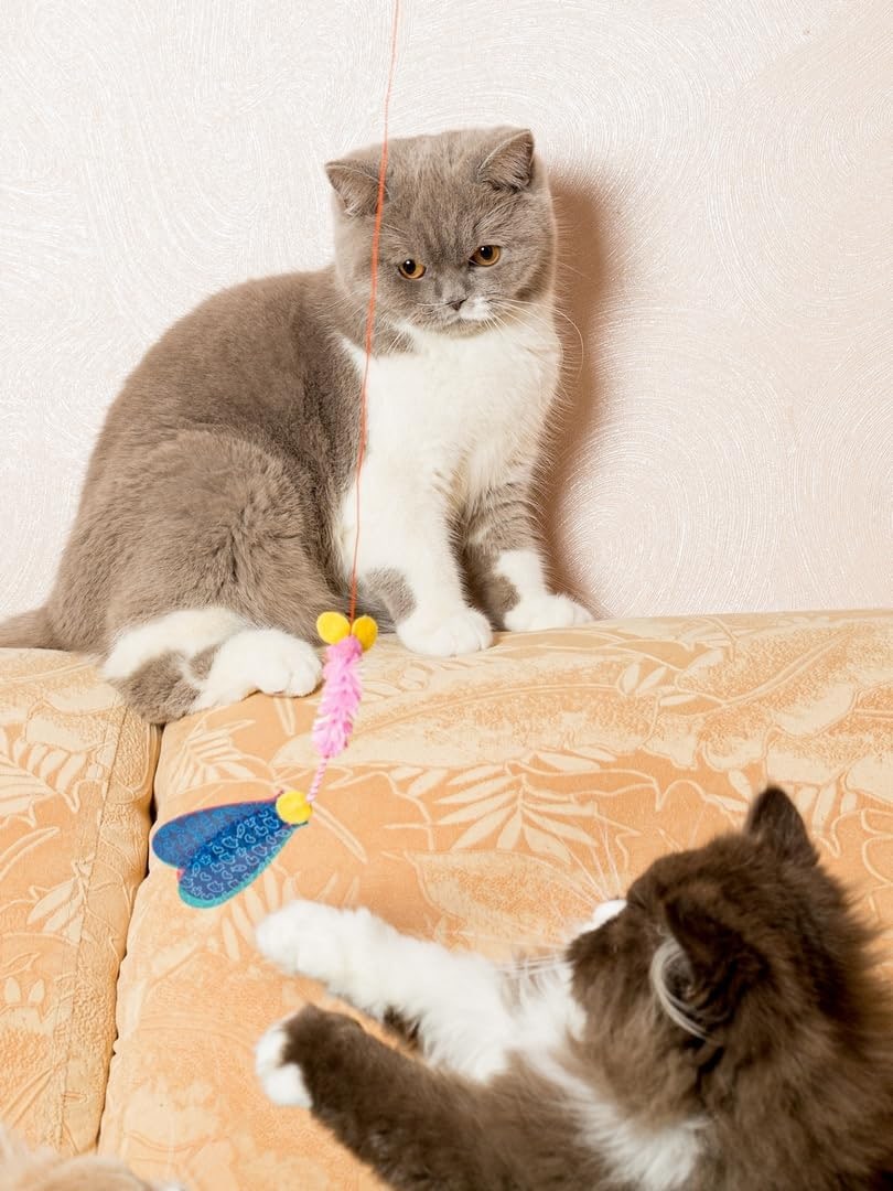 Katzenspielzeug | Interaktive Katzenangel mit Maus | Teaser-Angel mit unvorhersehbarer Bewegung | Fördert Jagdinstinkt | Für Katzen