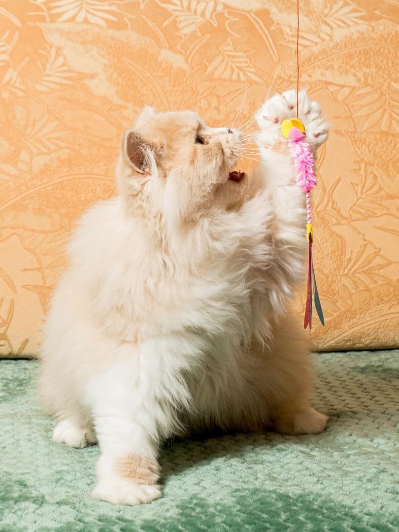 Katzenspielzeug | Interaktive Katzenangel mit Maus | Teaser-Angel mit unvorhersehbarer Bewegung | Fördert Jagdinstinkt | Für Katzen